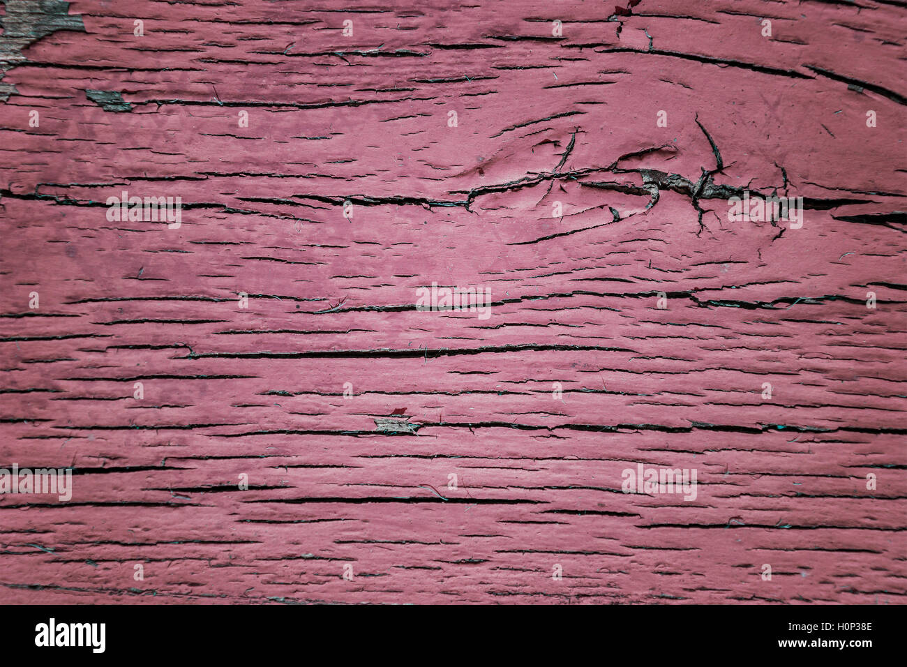 Image of pink painted wood background. Stock Photo