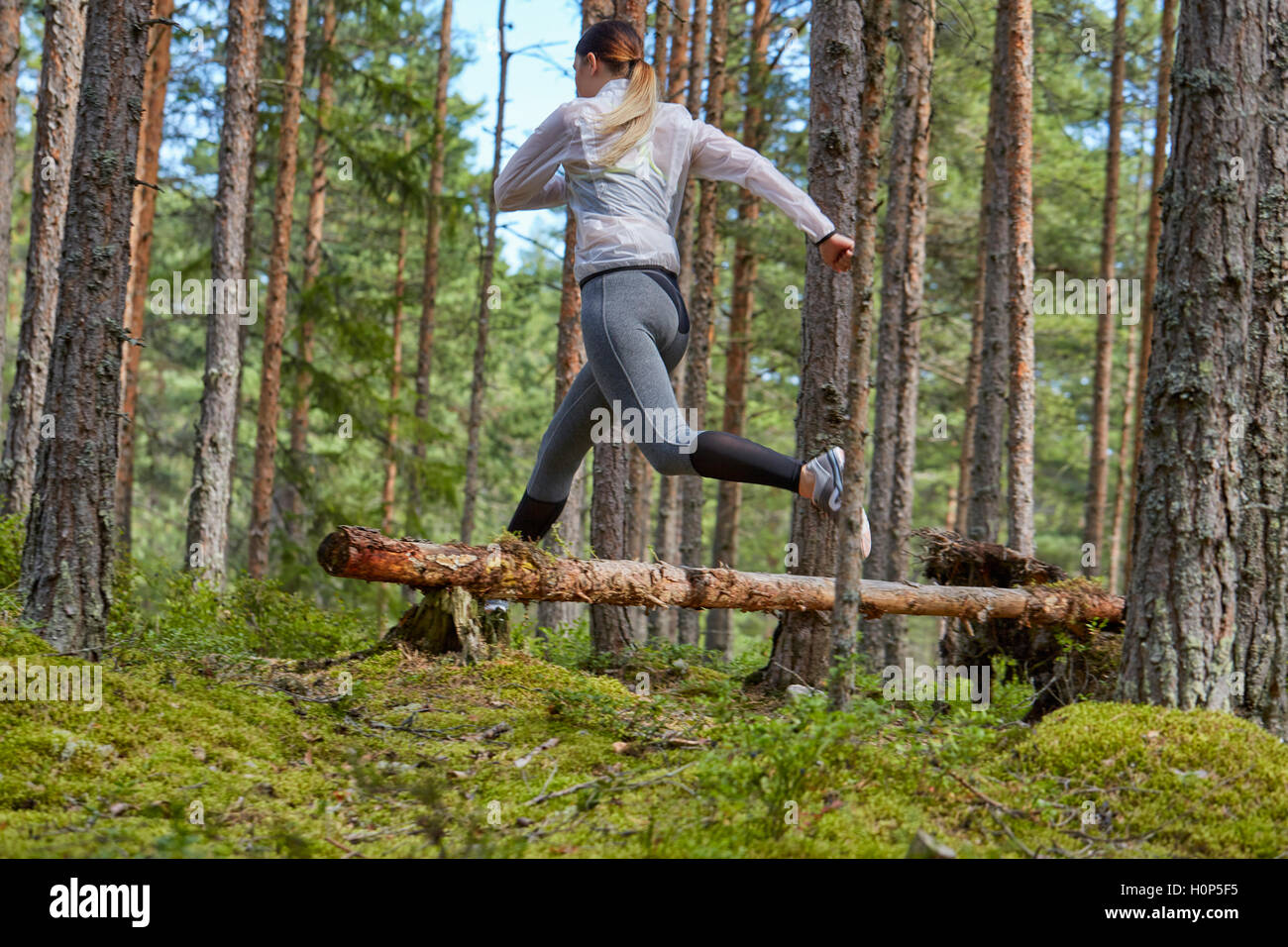 runner jumping fallen log woods Stock Photo Alamy