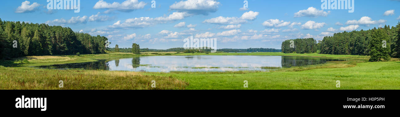 landscape summer lake on the background of forest and blue sky Stock Photo