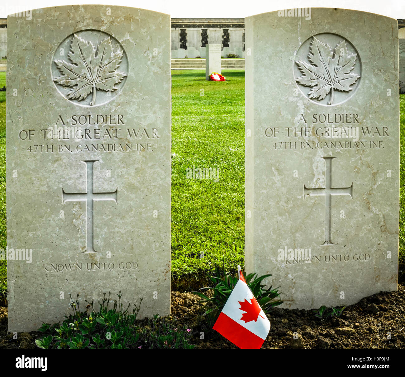 Graves of two Canadian soldiers who were casualties of World War 1. They are buried in a cemetery in Flanders Fields, Belgium. Stock Photo