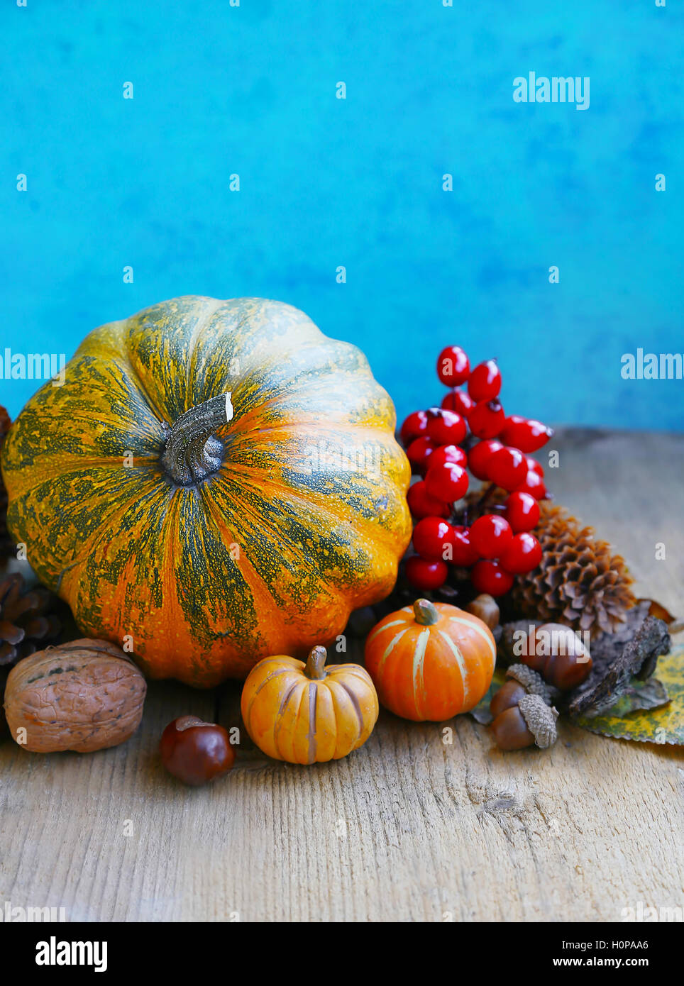Autumn decorative pumpkins, cones and nuts on vintage background Stock Photo