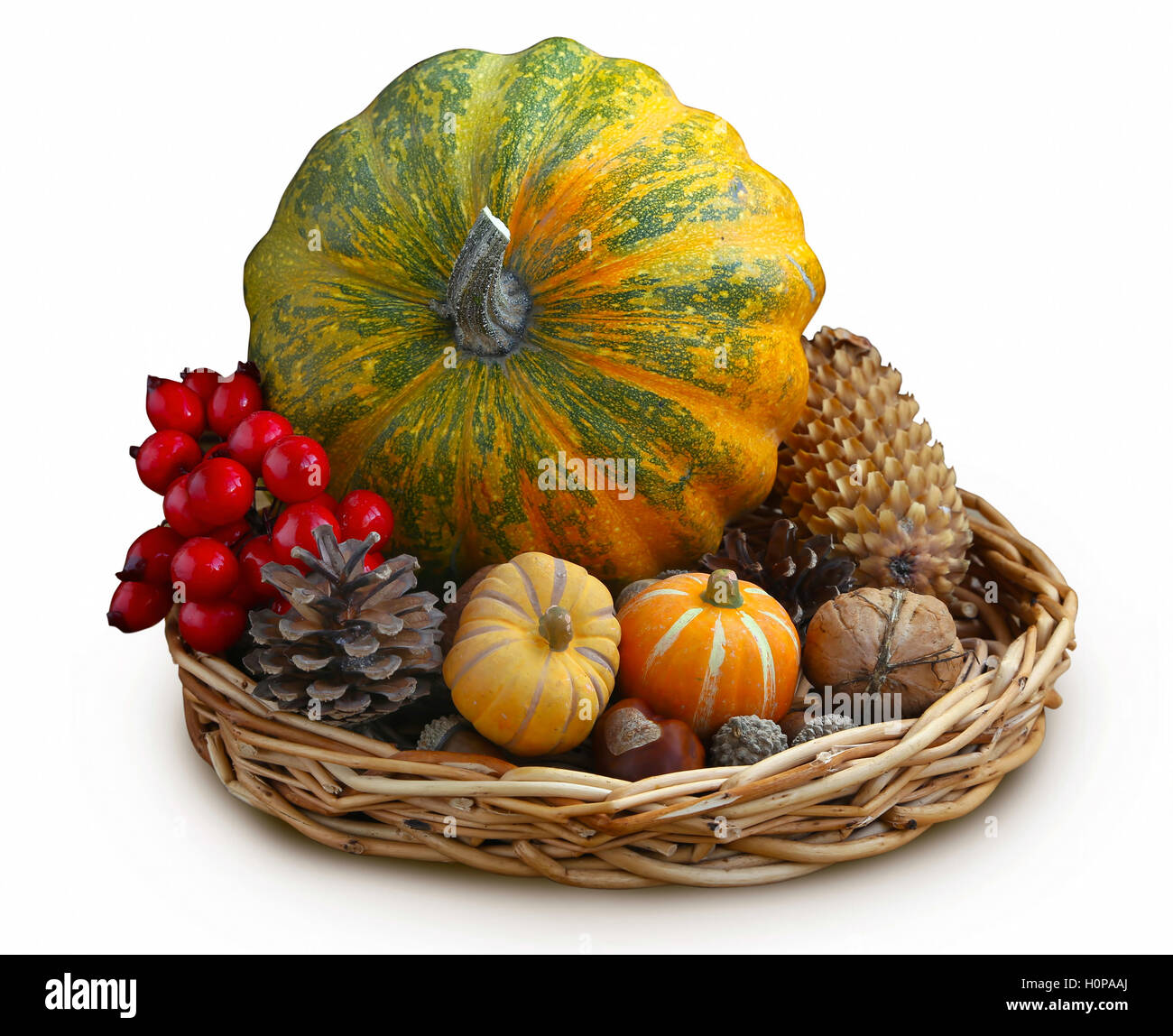 Autumn decorative pumpkins, cones and nuts isolated on white Stock Photo