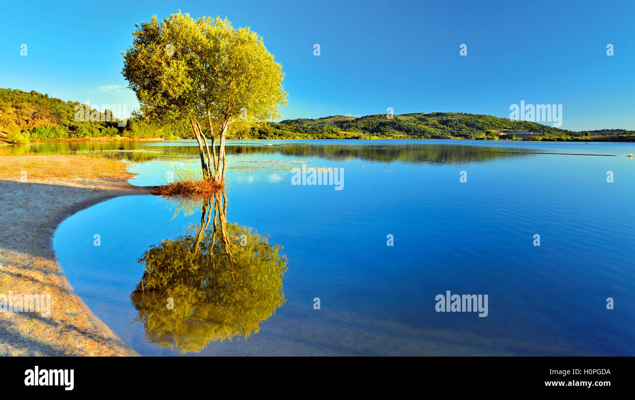 Portugal: Scenic lake view with tree reflecting in the water. Stock Photo
