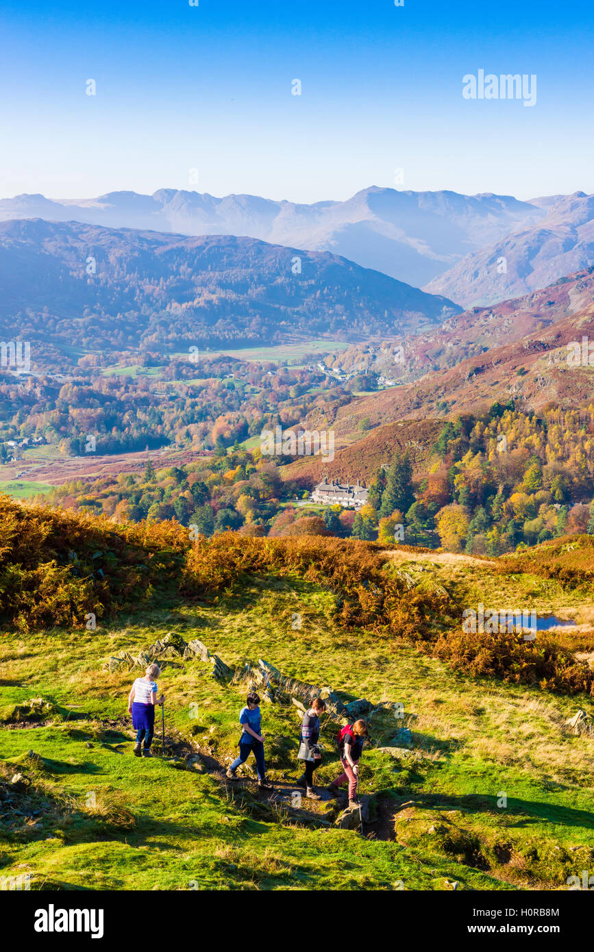 Walkers descending the north side of Loughrigg Fell in the Lake District National Park. Cumbria. England. Stock Photo