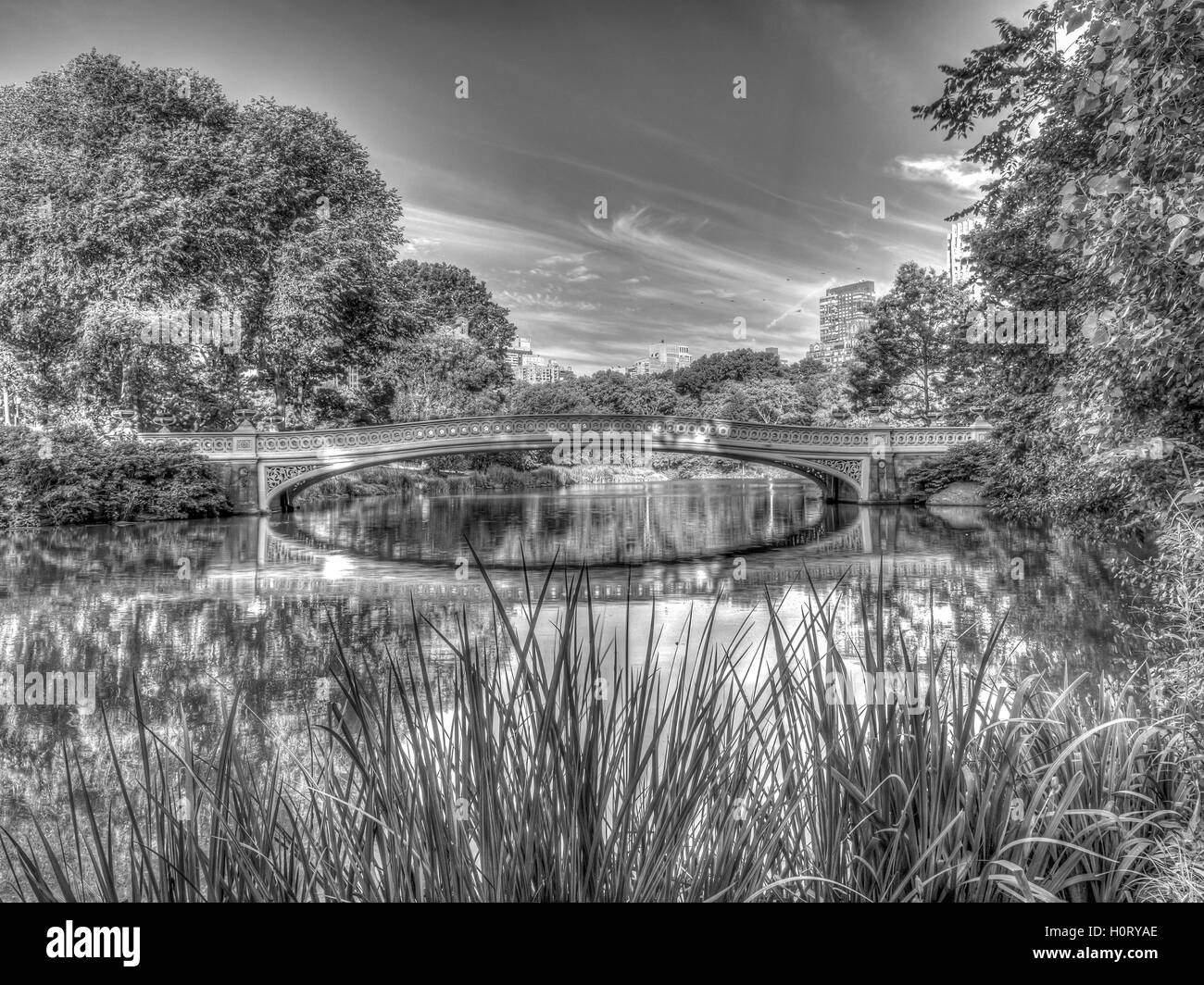 The Bow Bridge is a cast iron bridge located in Central Park, New York ...