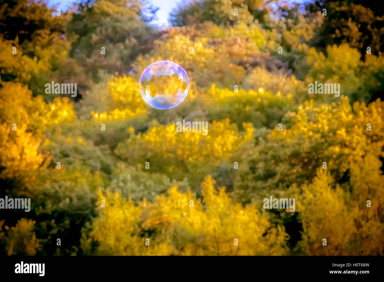A large bubble floating in the sky Stock Photo Alamy