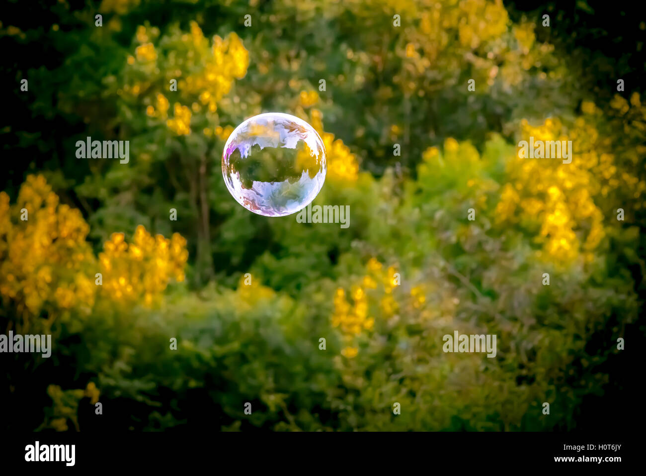 A large bubble floating in the sky Stock Photo Alamy