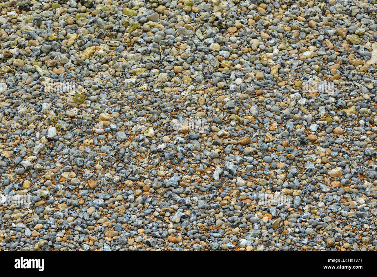 Shingle beach at low tide. Rottingdean, Brighton, East Sussex, England
