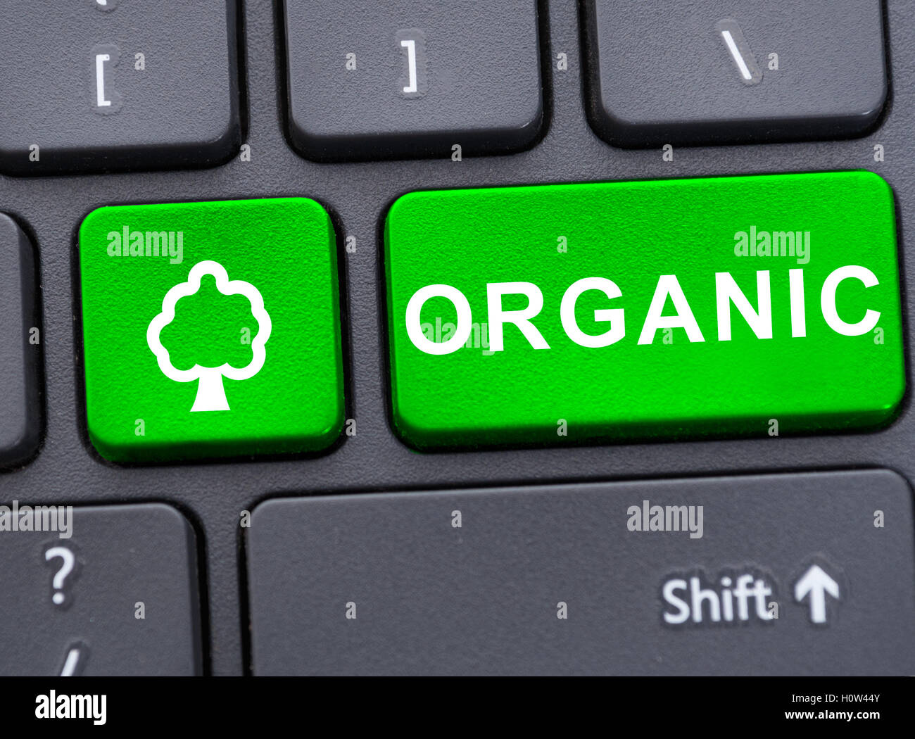 Computer keyboard with green organic button and tree sign as ecology