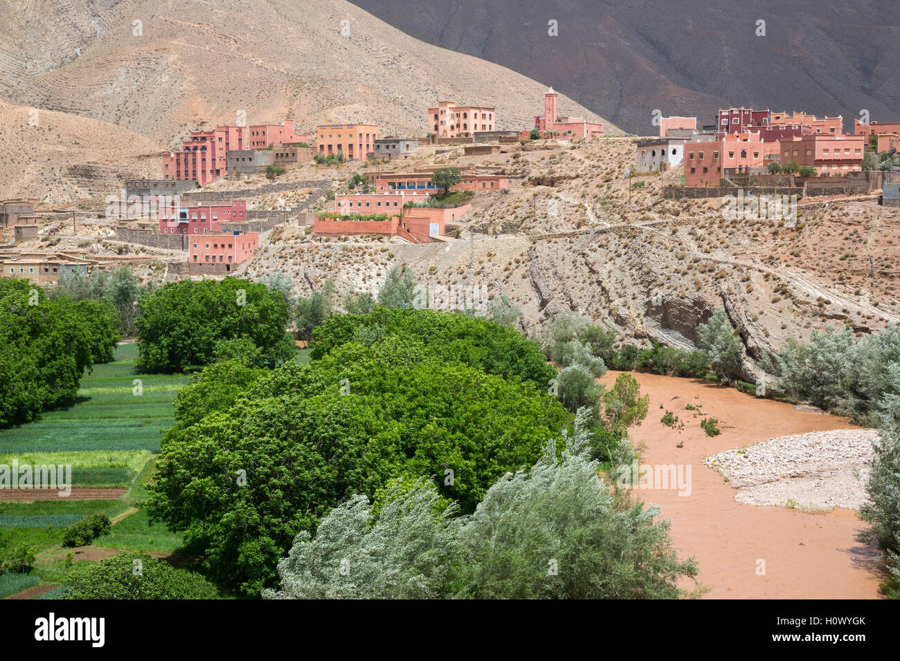Dades Gorge, Morocco.  Small Town with Farmers' Fields, Muddy Water from Upstream Rains. Stock Photo
