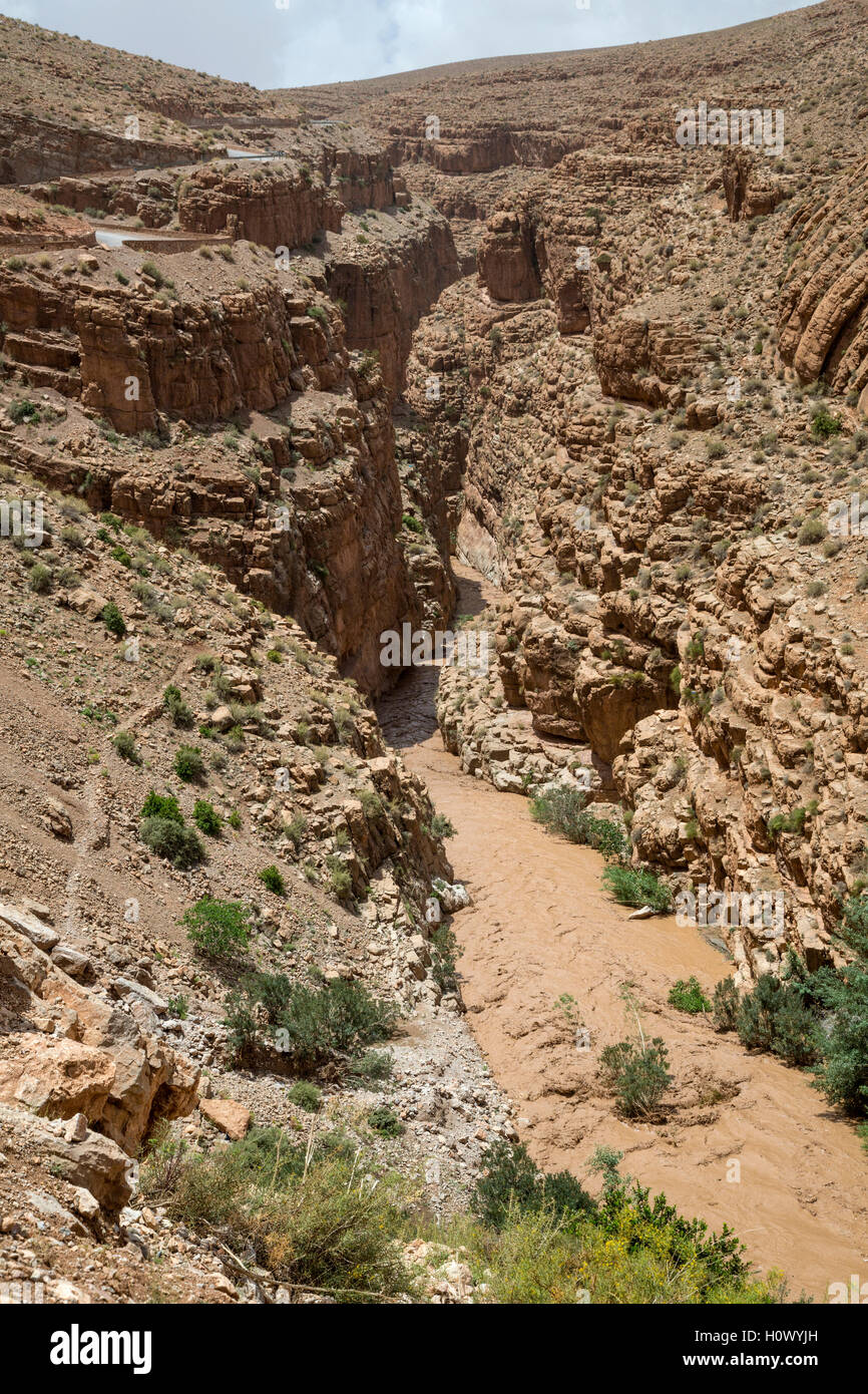 Dades Gorge, Morocco.  Muddy Water in the Gorge from Heavy Rain in Upstream Area. Stock Photo