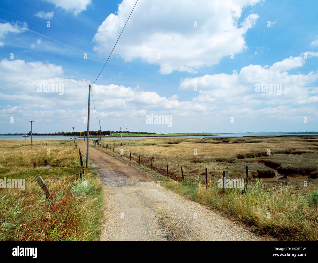 Road and tidal causeway to Northey Island National Trust bird reserve, Blackwater Estuary, Essex, England, UK Stock Photo