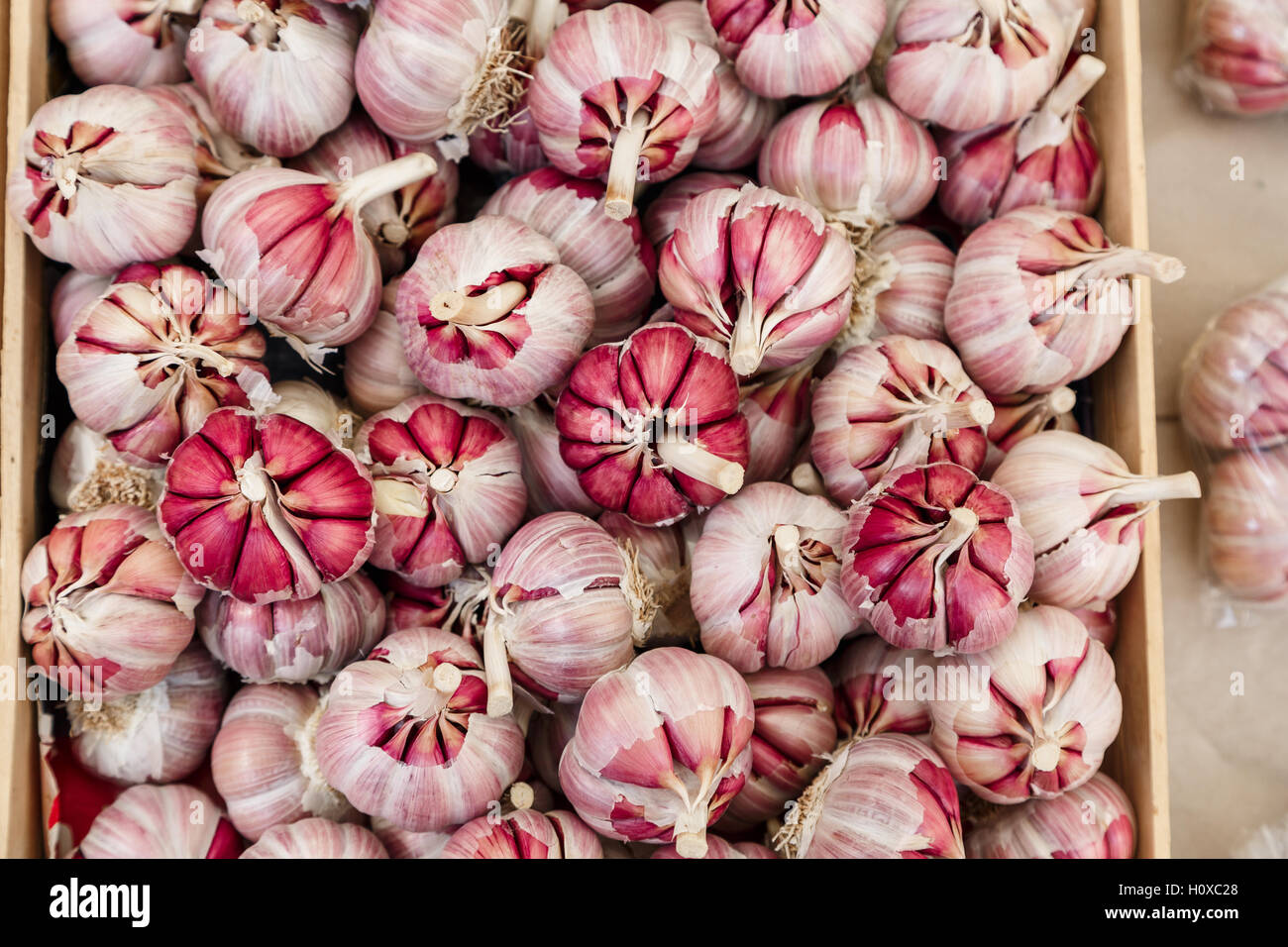 Red Garlic Bulbs For Sale, Palermo, Sicily Stock Photo Alamy