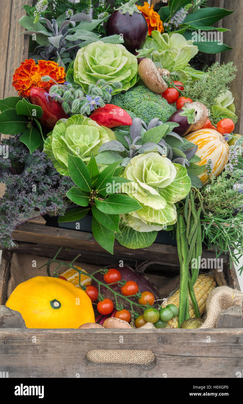 Wooden crate full of harvested vegetables and flowers at Harrogate autumn flower show. Harrogate  North Yorkshire, England Stock Photo