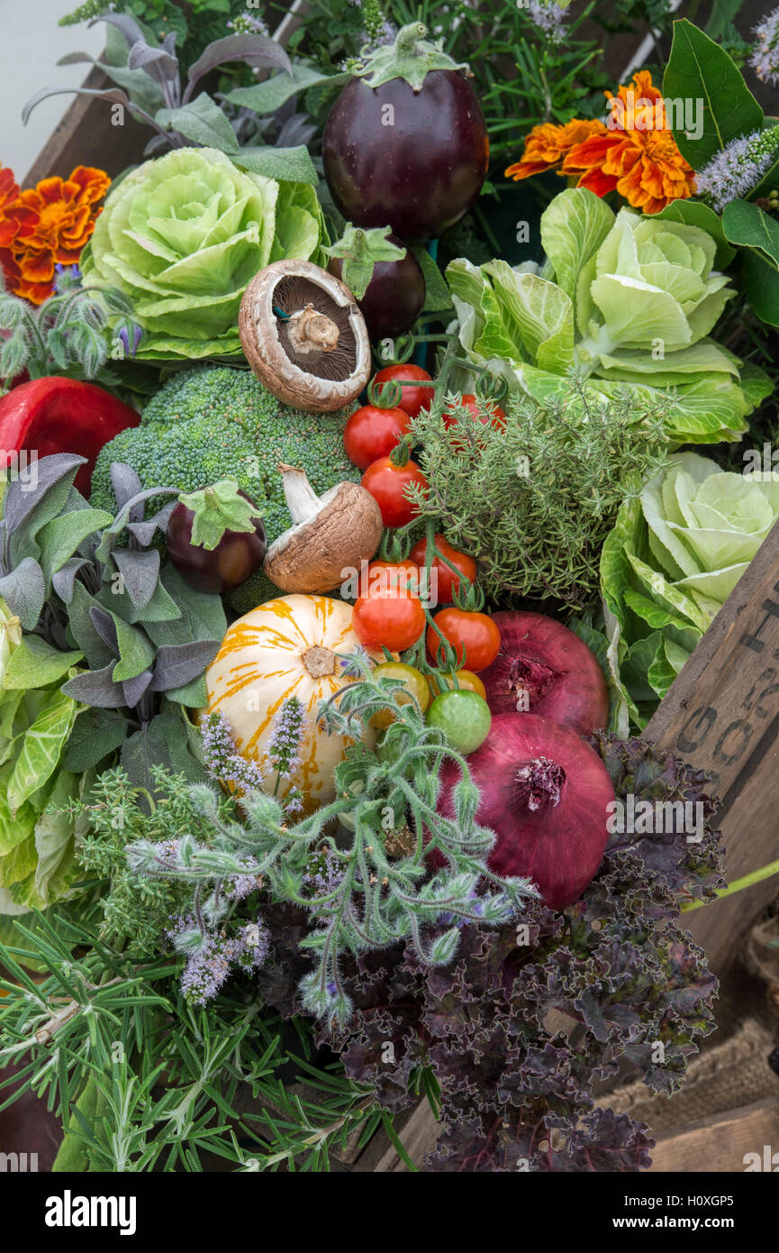 Wooden crate full of harvested vegetables at Harrogate autumn flower show. Harrogate  North Yorkshire, England Stock Photo