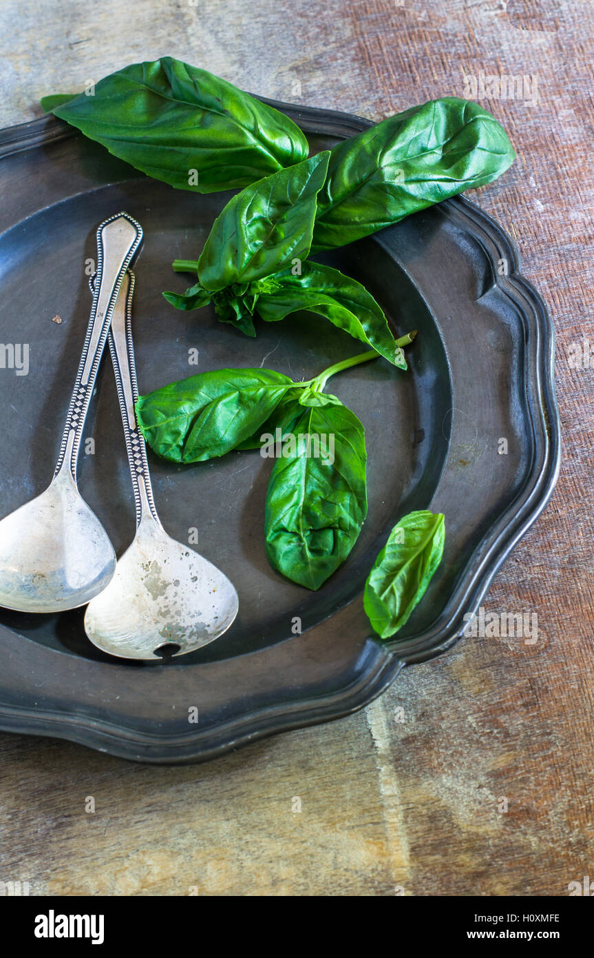Fresh organic basil leaves on rustic background as a healthy food ...