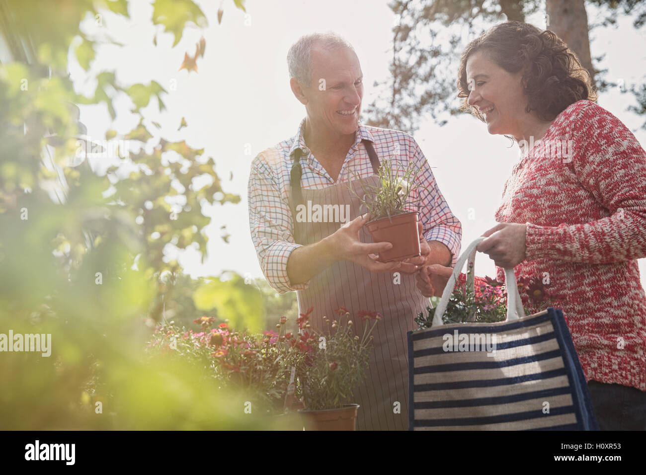 nursery plant worker potted flower woman Stock Photo - Alamy