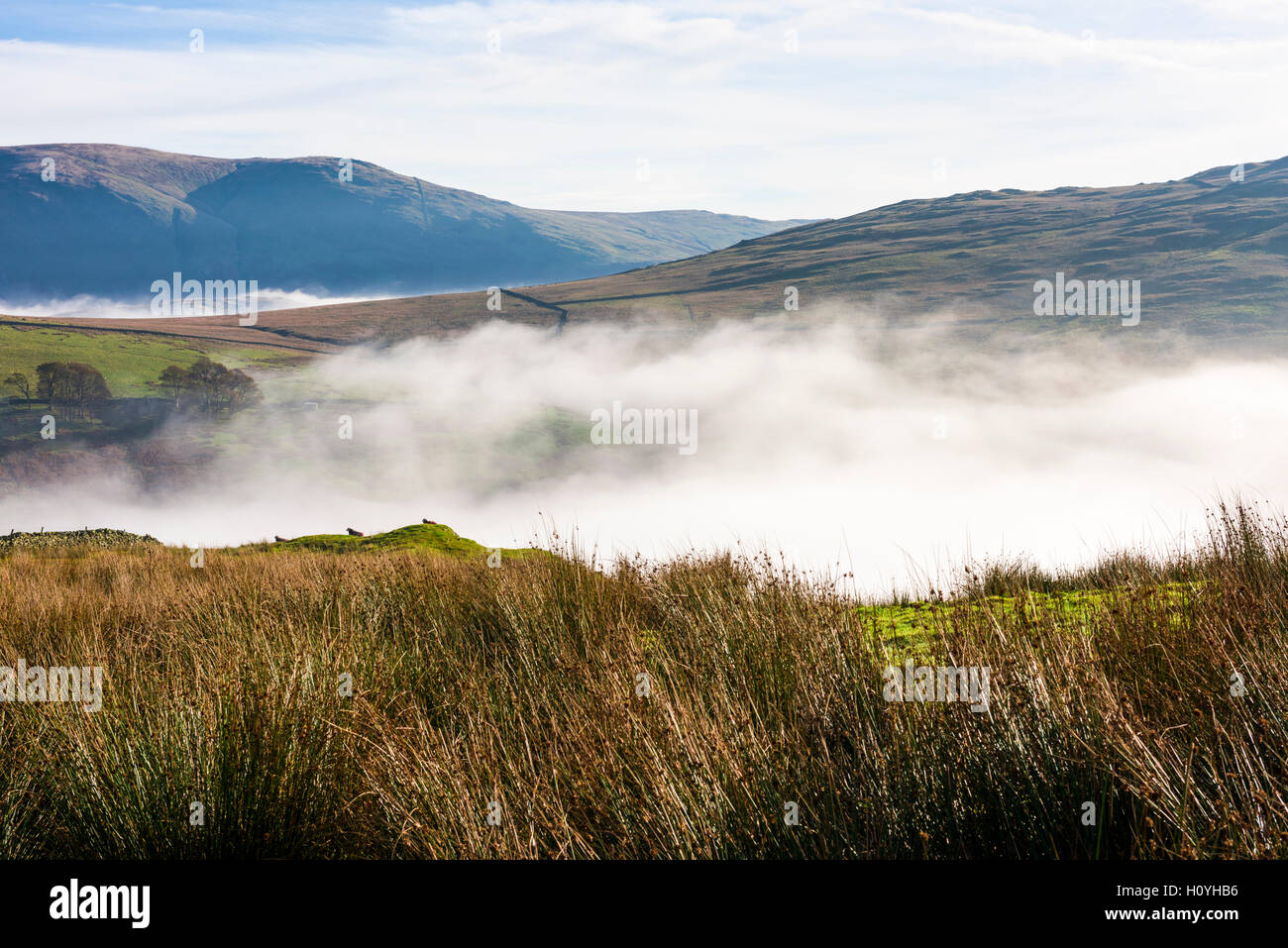 Cloud Inversion in the Stock Ghyll Valley near Ambleside in the Lake District National Park. Cumbria. England. Stock Photo
