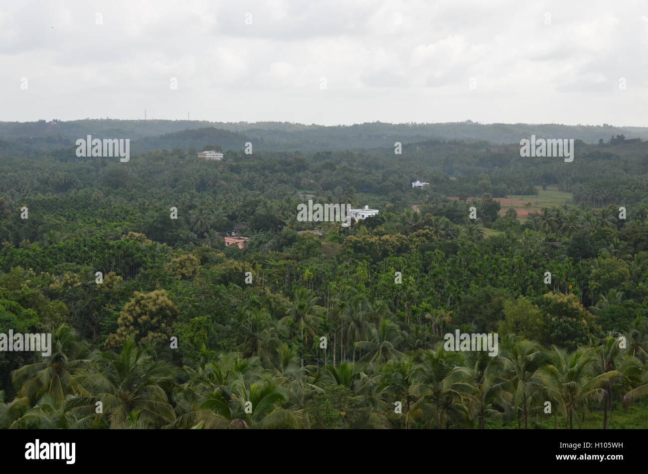 Picturesque view of the outskirts of Mangalore as seen from Konaje Hills Stock Photo Alamy