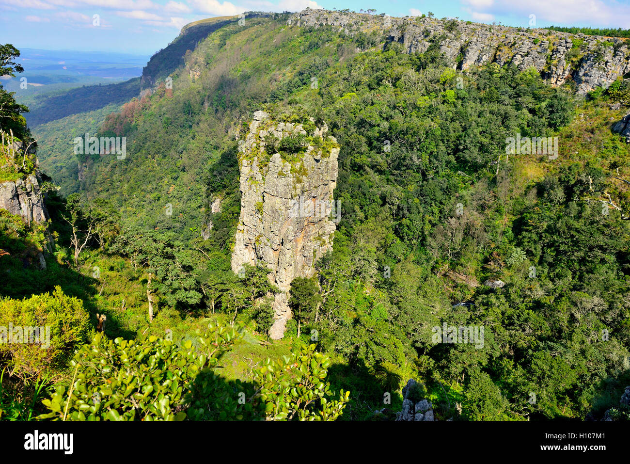The Pinnacle Rock, a tower-like freestanding quartzite buttress which rises 30 m above the dense indigenous forest around Graskop, South Africa Stock Photo