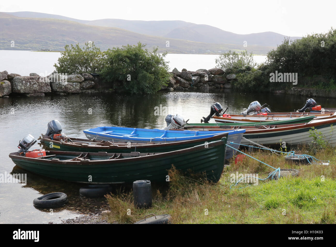 Lough Currane in County Kerry, famous for its salmon and sea trout