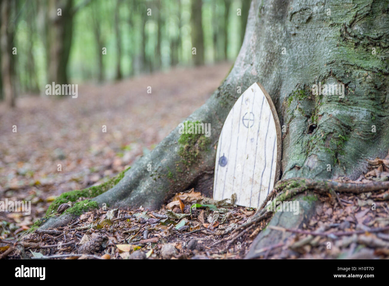 Fairy door in tree trunk Stock Photo - Alamy