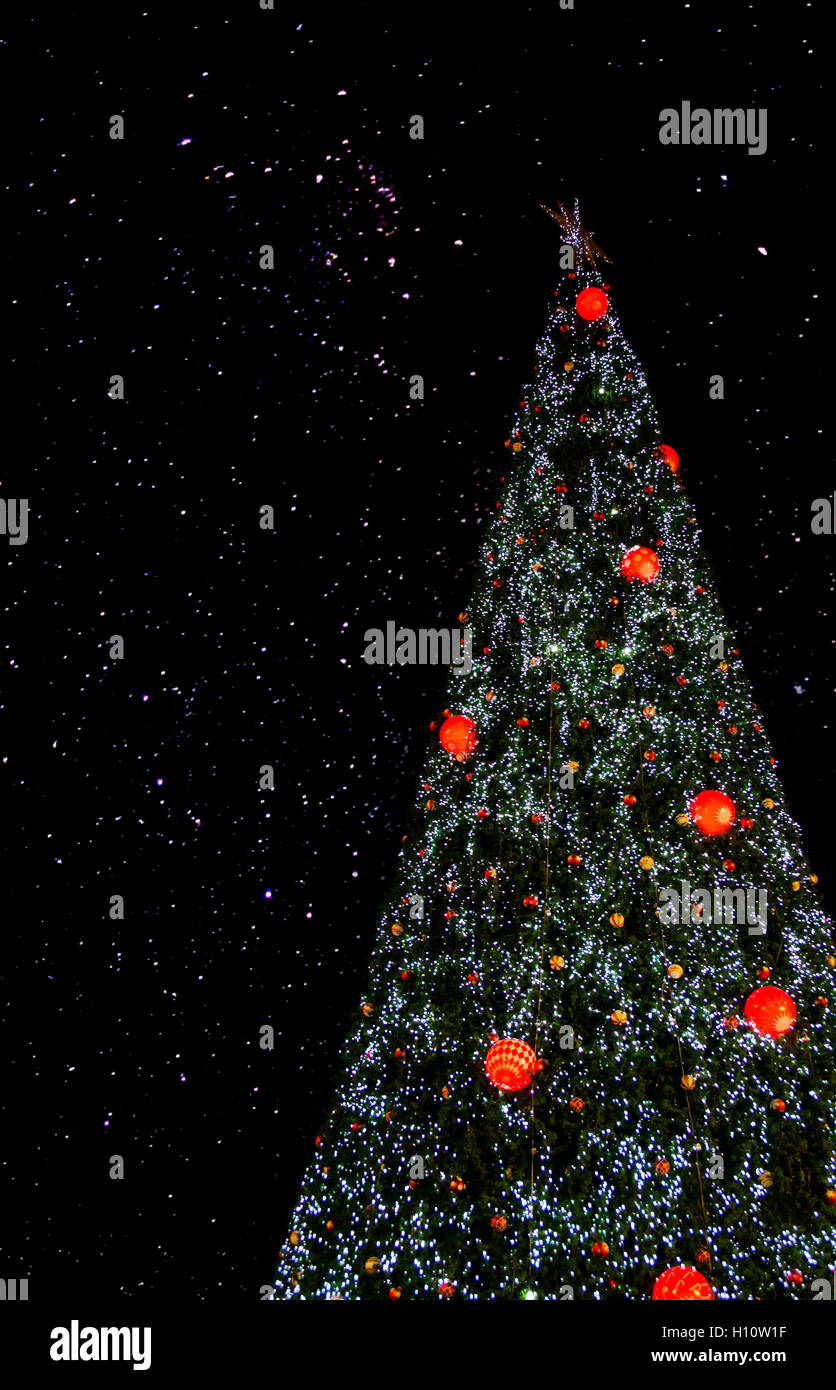 christmas tree in the night sky Stock Photo - Alamy