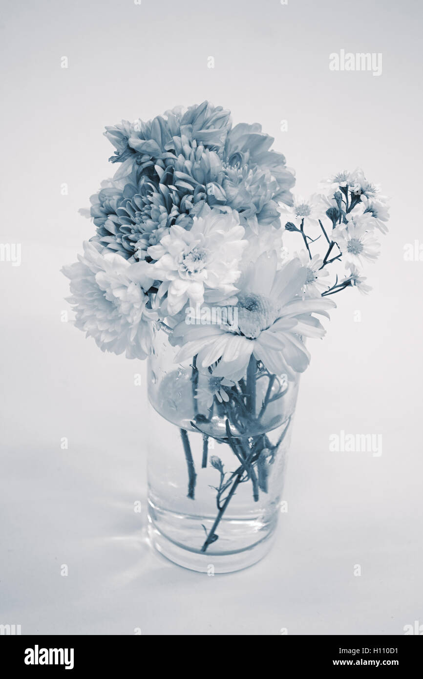 bouquet  in monotone color Stock Photo