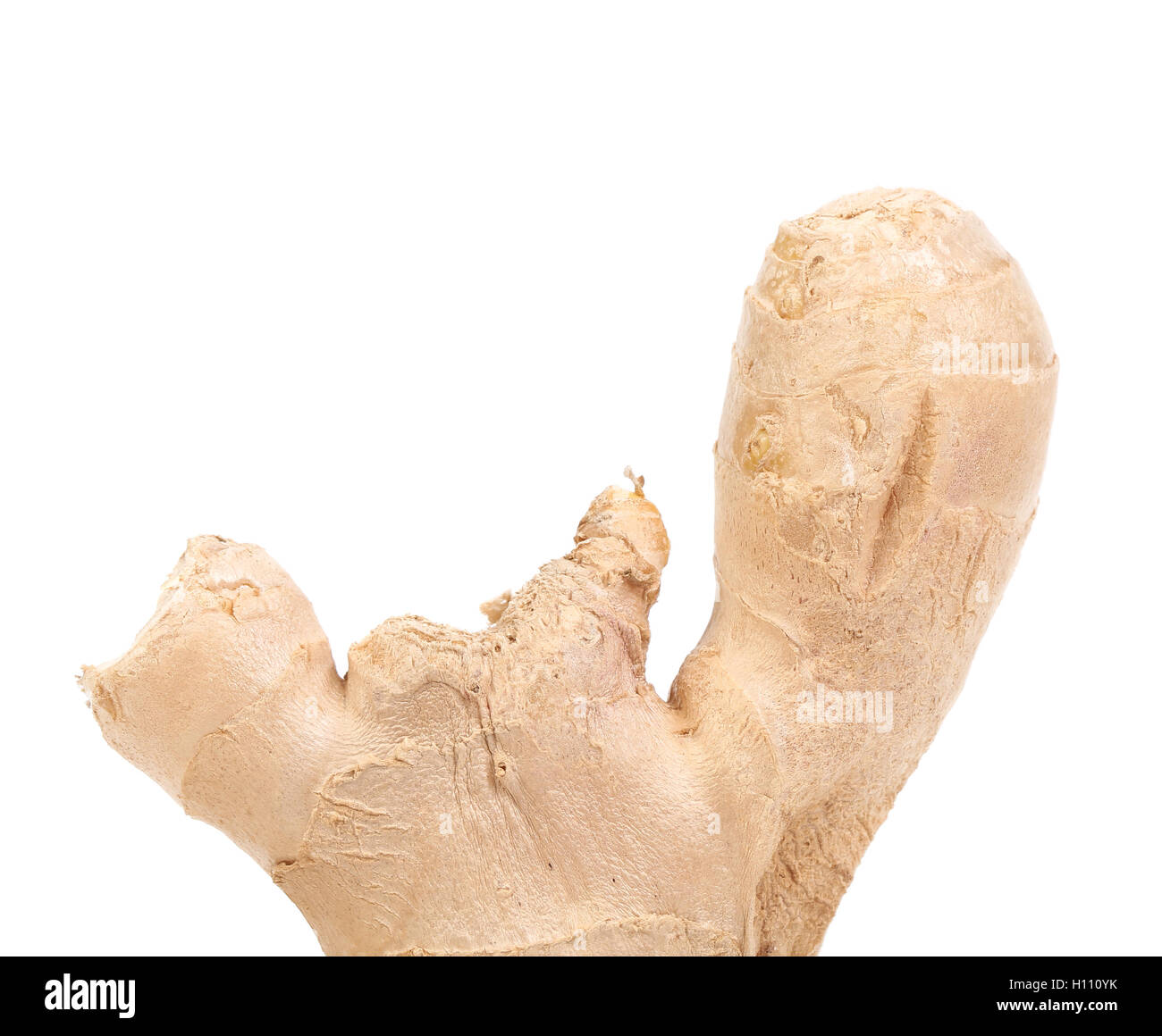 Rot Ginger Close up of root ginger Stock Photo - Alamy