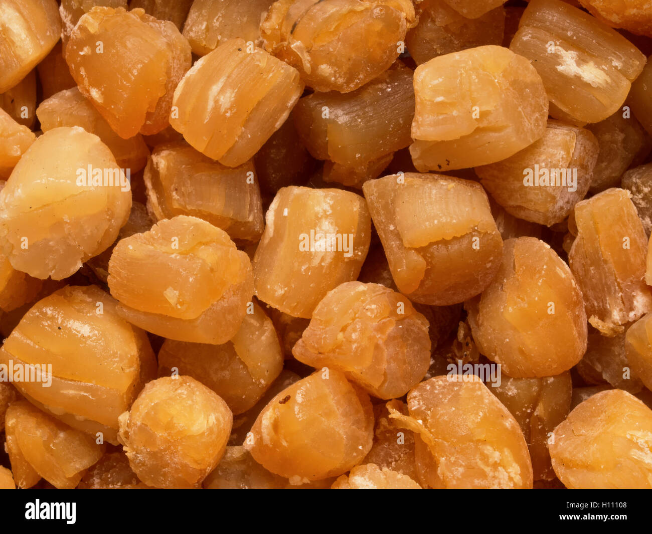 dried scallops Stock Photo Alamy