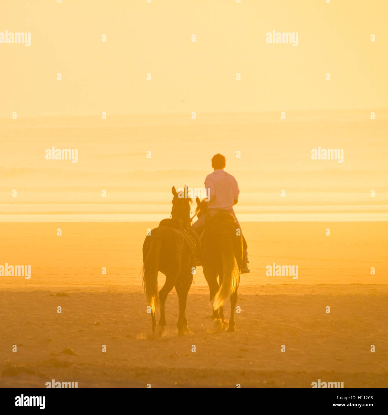 Horse riding on the beach at sunset Stock Photo - Alamy