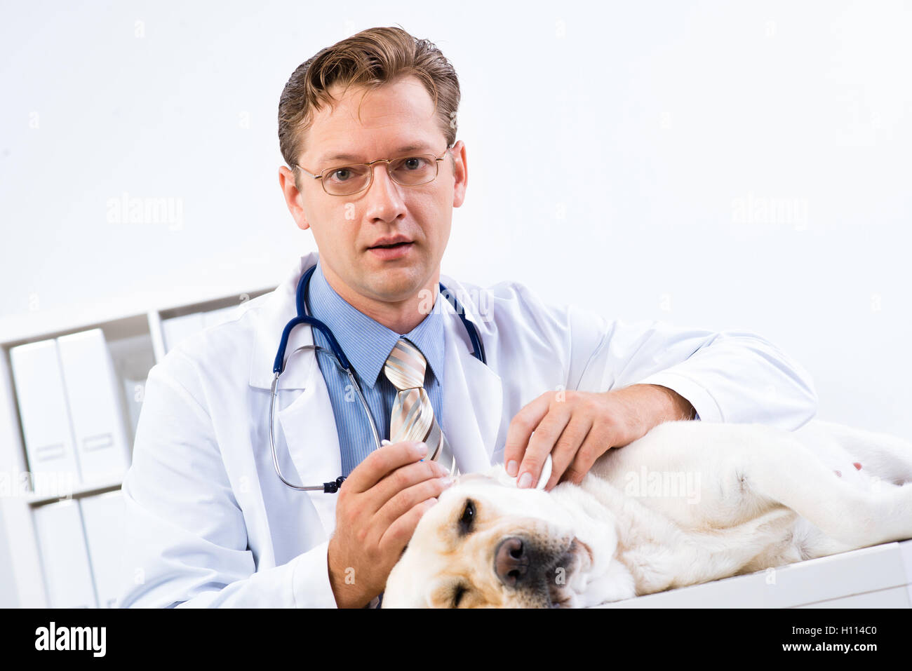 Portrait of male vet Stock Photo - Alamy