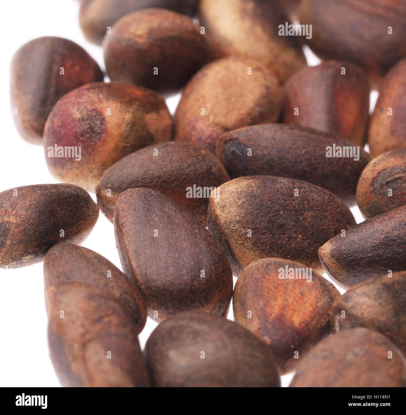 Pine Nuts Stock Photo