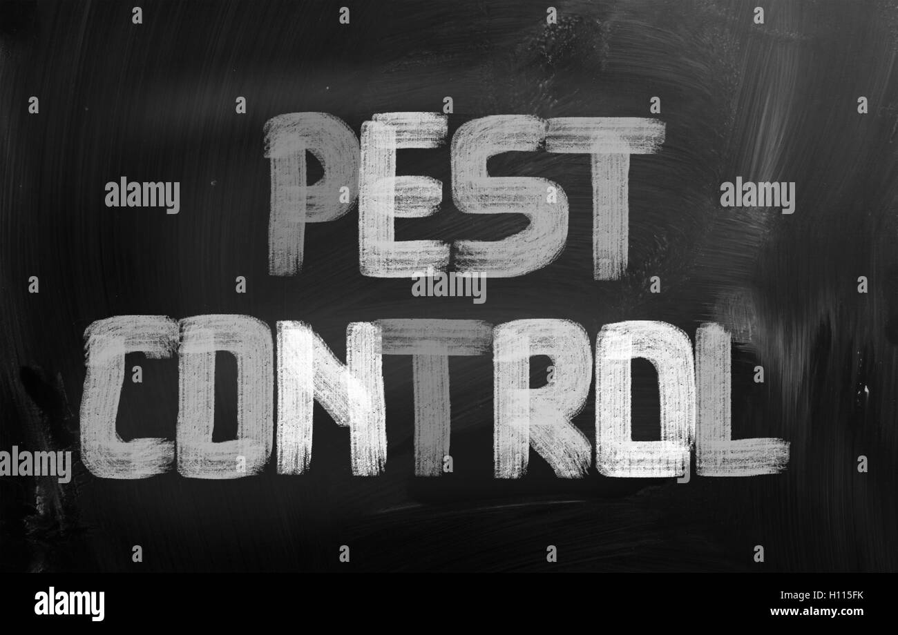 Pest Control Concept Stock Photo
