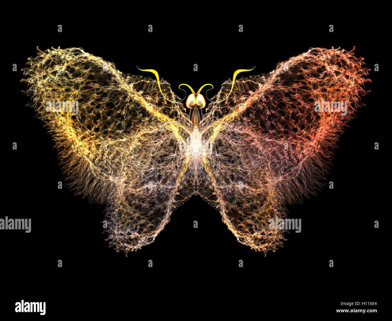 Butterfly visualization hi-res stock photography and images - Alamy