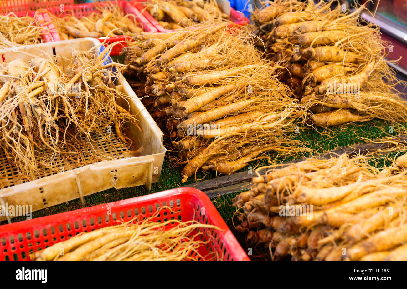 Ginseng for sell in food market Stock Photo Alamy