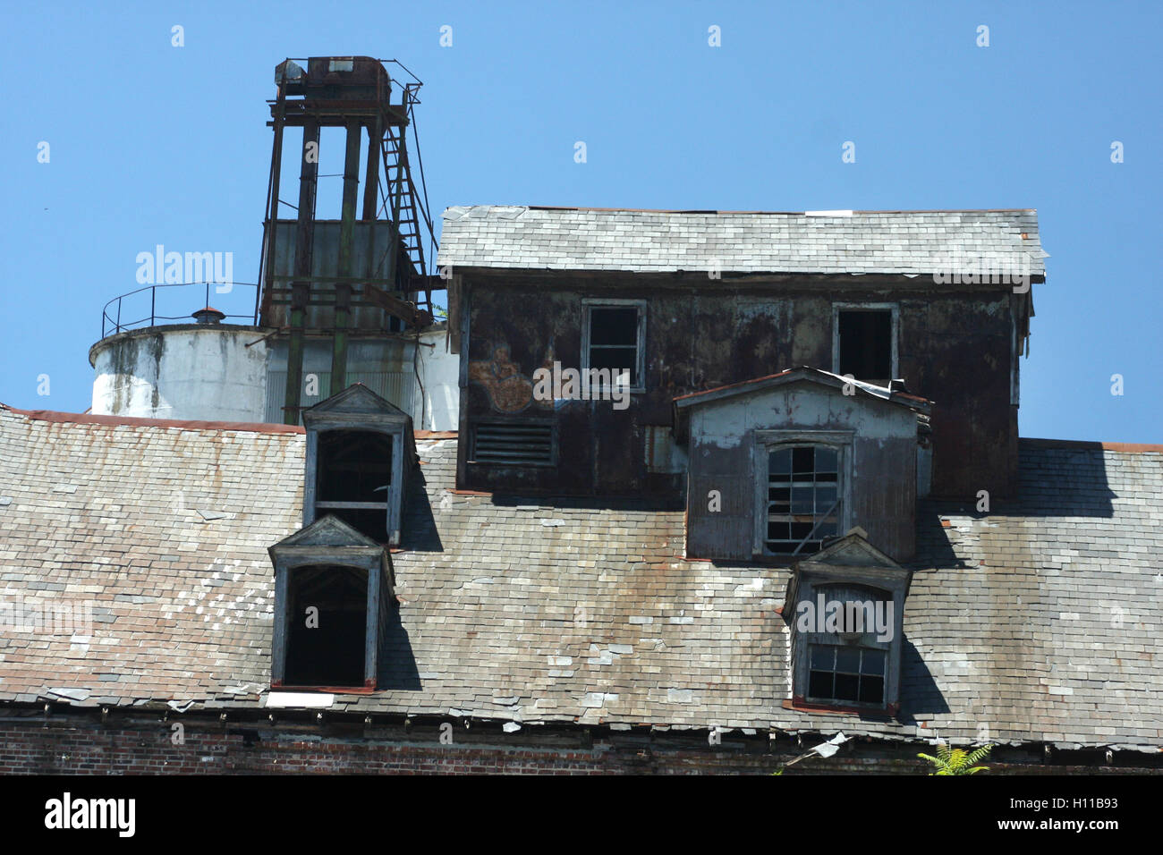 Detail of the abandoned Piedmont Flour Mill and Silo buildings on Jefferson Street in Lynchburg