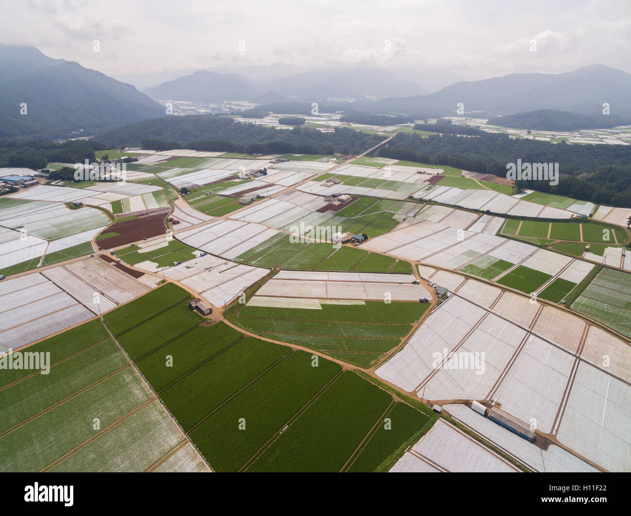 Kawakami hires stock photography and images Alamy