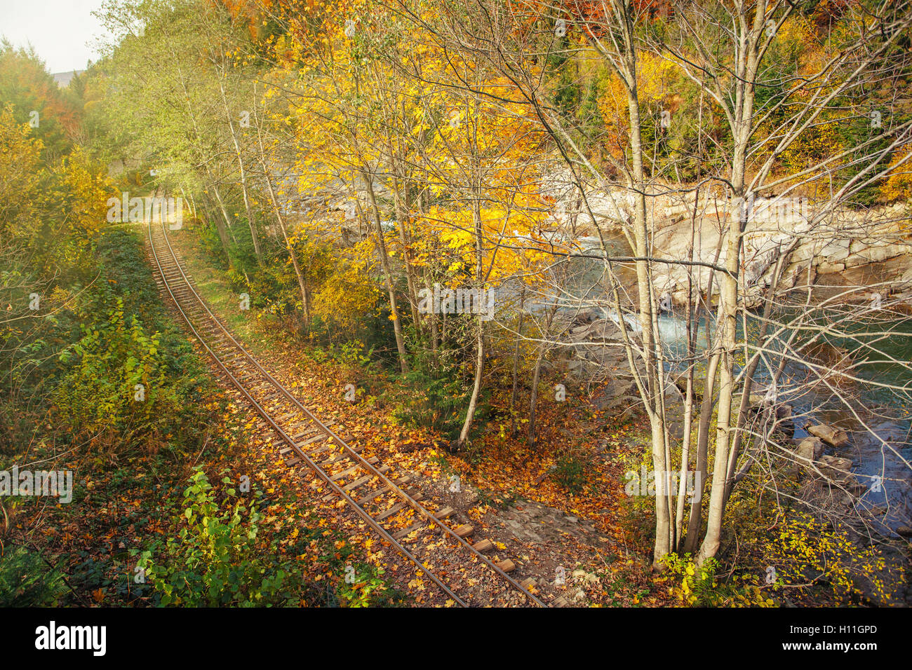 railway road in autumn forest Stock Photo