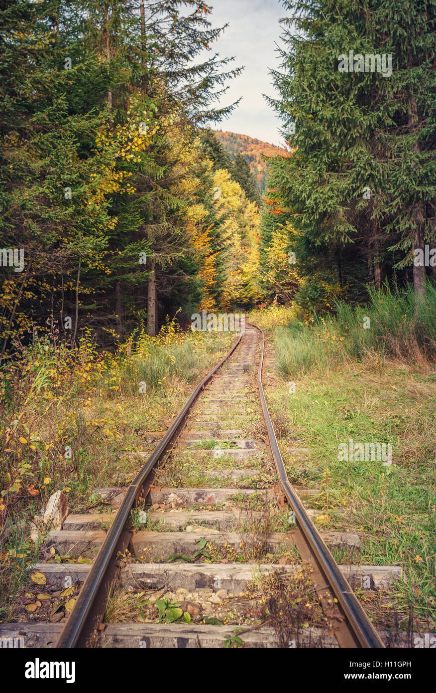 railway road in autumn forest Stock Photo