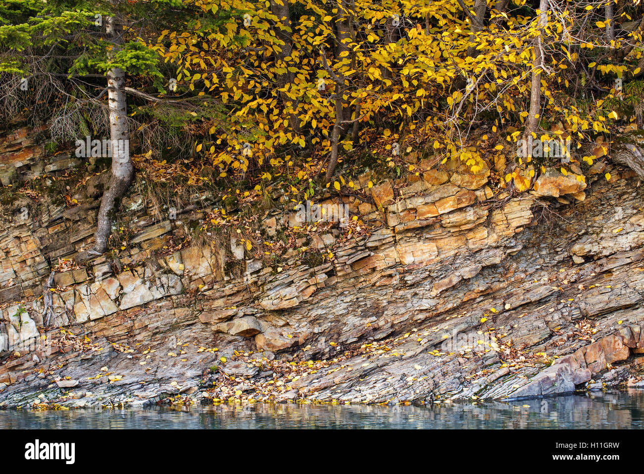 Shore with autumn forest hi-res stock photography and images - Alamy