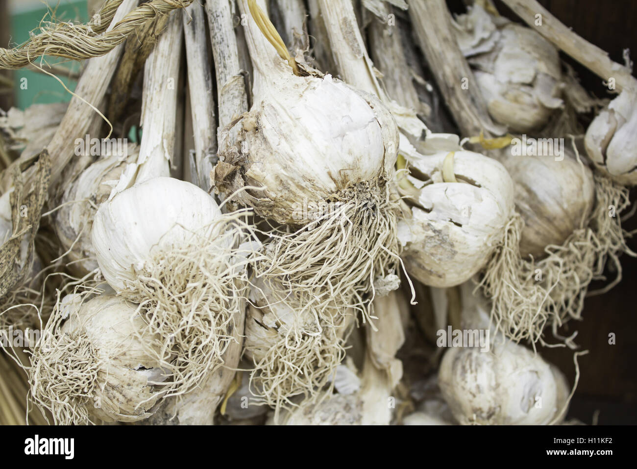 Broken white garlic hi-res stock photography and images - Alamy