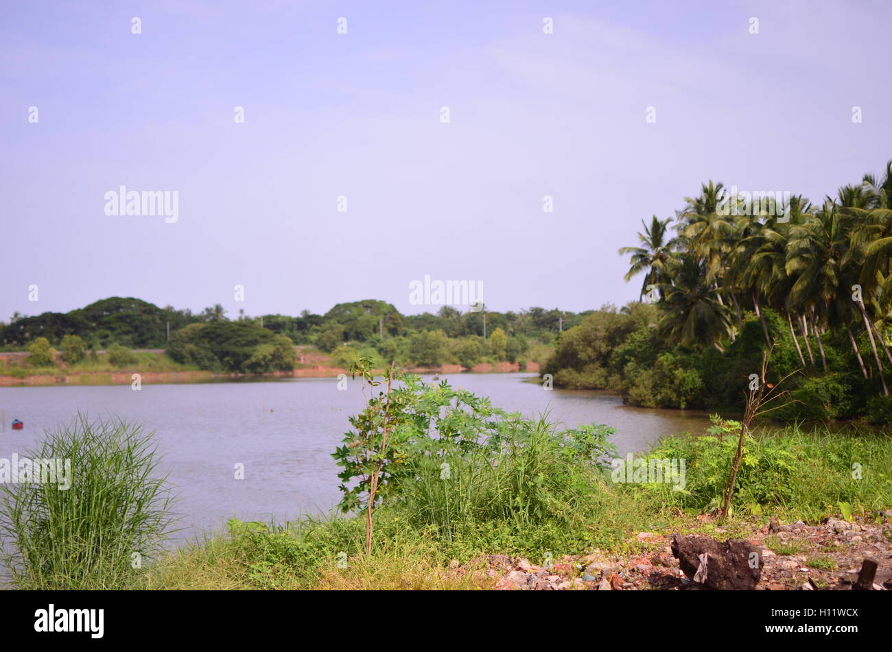 Scenic beauty of a small lagoon on the banks of Netravati River near Ullal, Mangalore, Karnataka, India with coconut palm grove Stock Photo