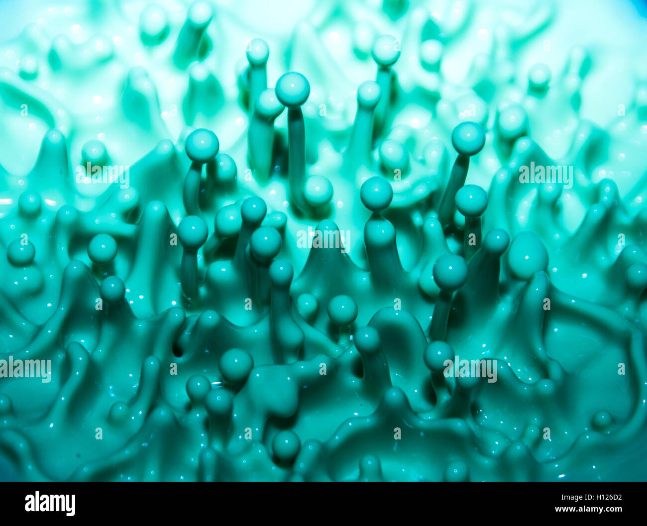 Created using Corn Flour on a speaker and captured using high speed