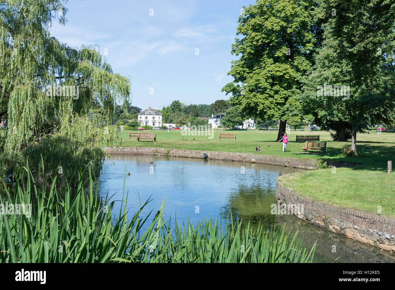 Pond on The Village Green, High Street, Godstone, Surrey, England, United Kingdom Stock Photo