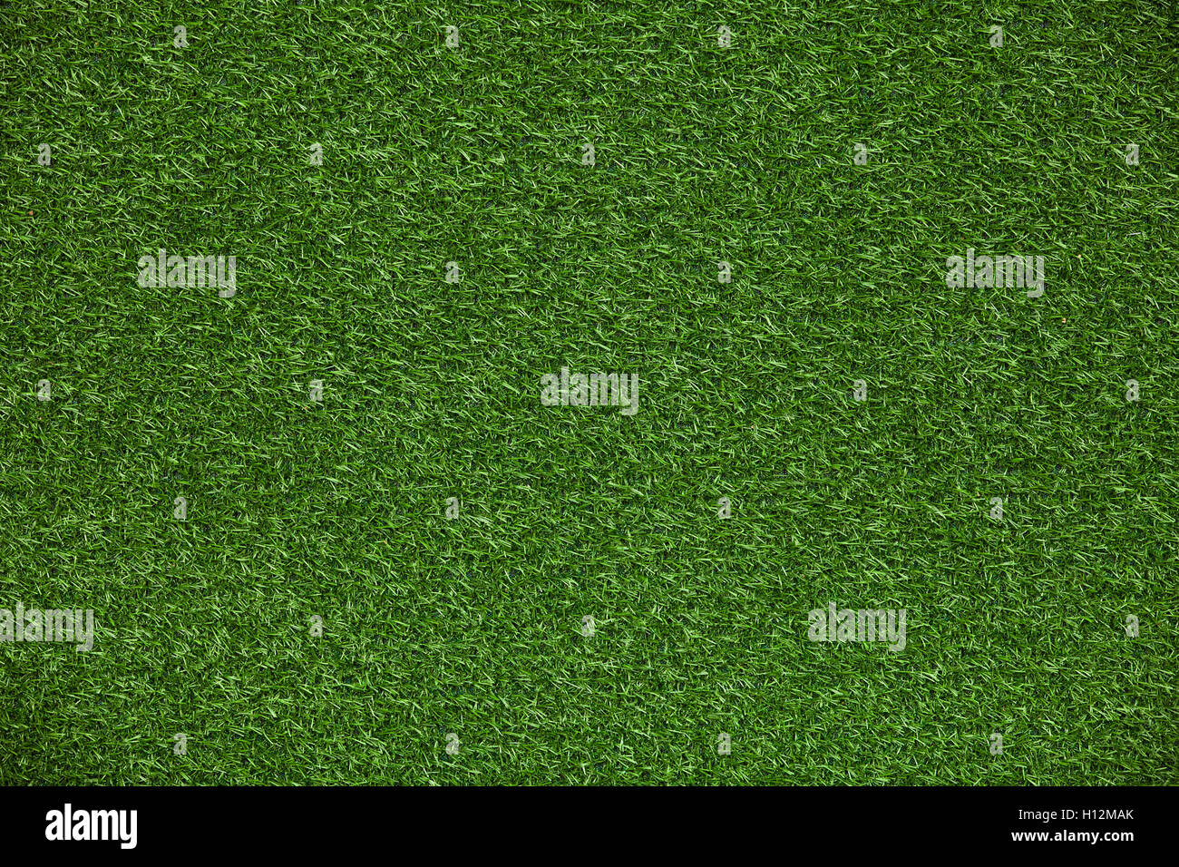Green grass lawn Stock Photo