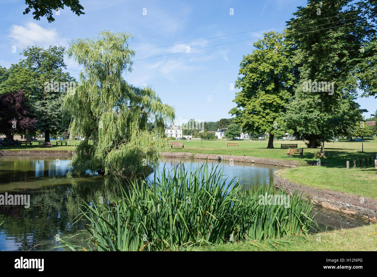 Pond on The Village Green, Godstone, Surrey, England, United Kingdom Stock Photo
