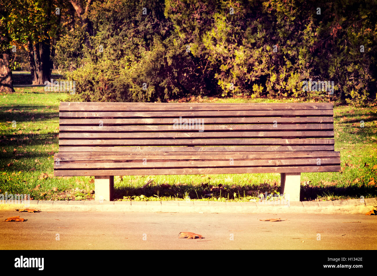 Bench in the park Stock Photo - Alamy