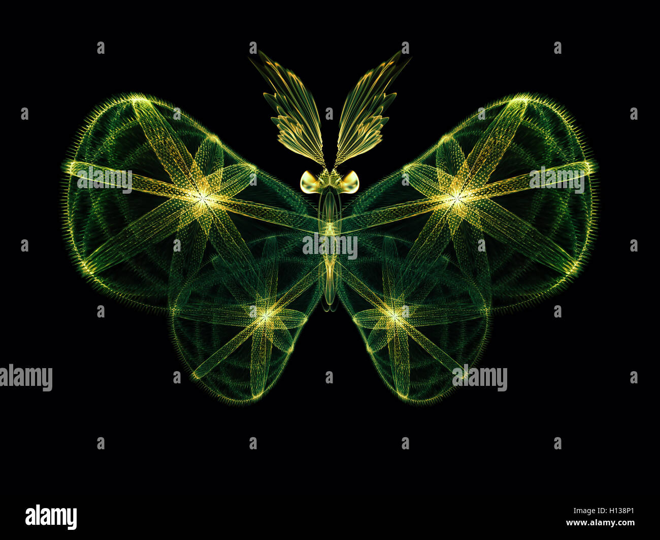 In Search of Butterfly Stock Photo - Alamy
