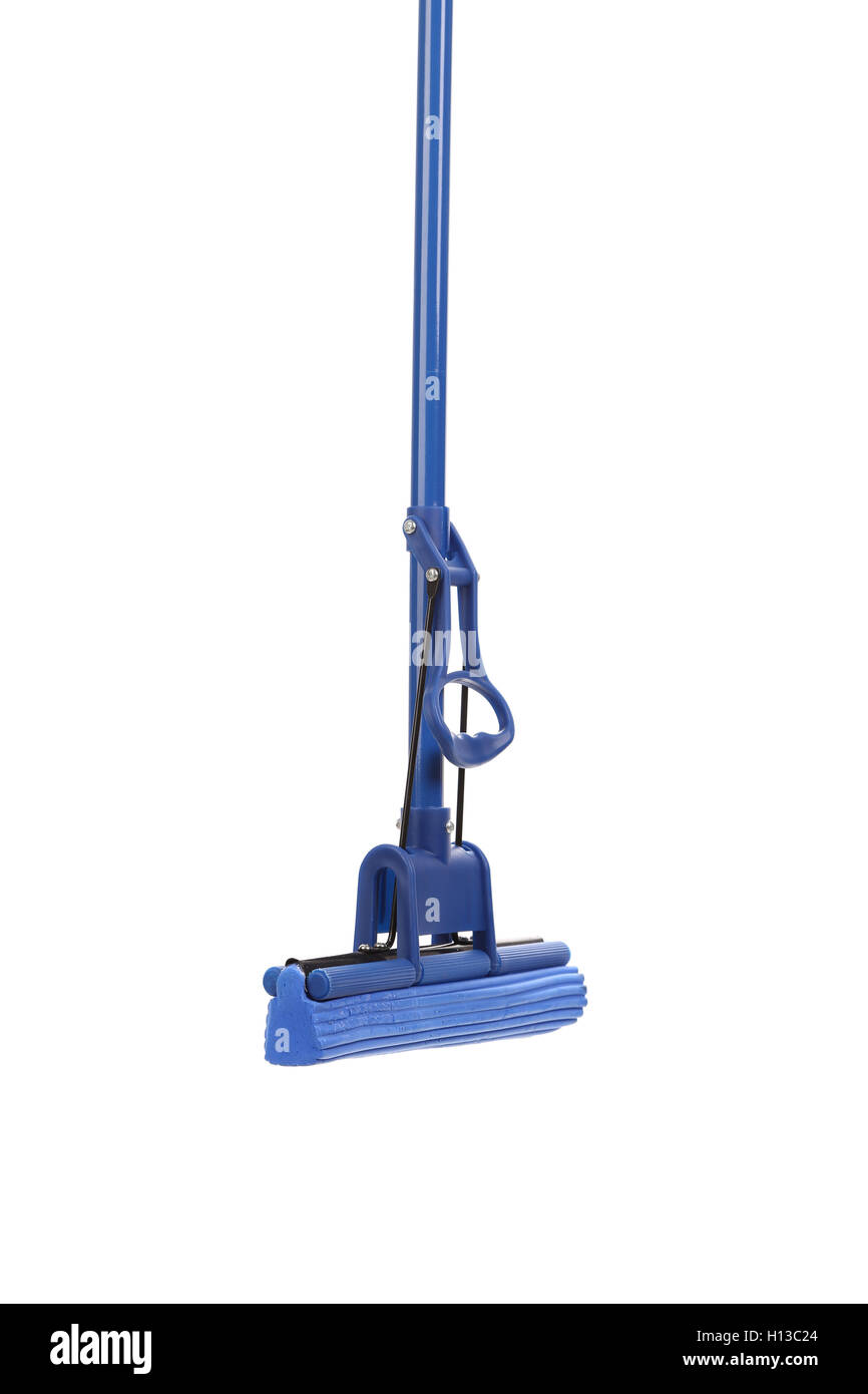 Close up of blue mop with sponge Stock Photo Alamy